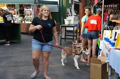 Bark in the park night!