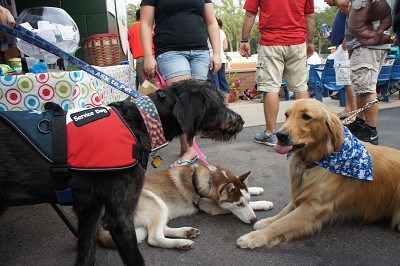 Come out to the ballpark to make some new friends!