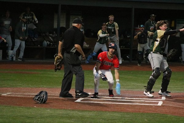 Brandon McCraine